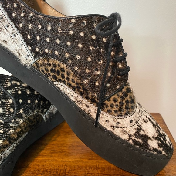 Cappelletti Lazio Sneaker - Picture 2 of 12